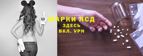 гашик Нея
