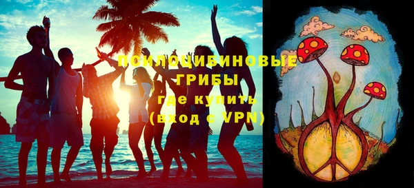 метадон Алексин