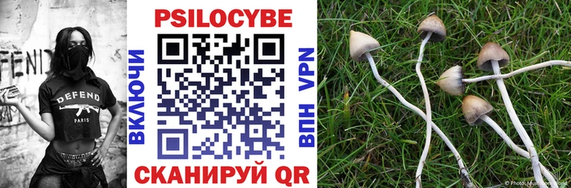 продажа наркотиков  Мензелинск  Галлюциногенные грибы Psilocybine cubensis 